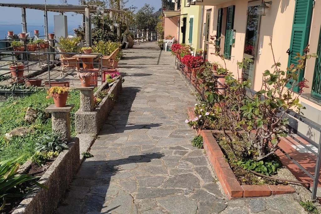 In Scia Costa Apartment Bogliasco Bagian luar foto