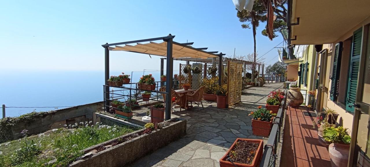 In Scia Costa Apartment Bogliasco Bagian luar foto