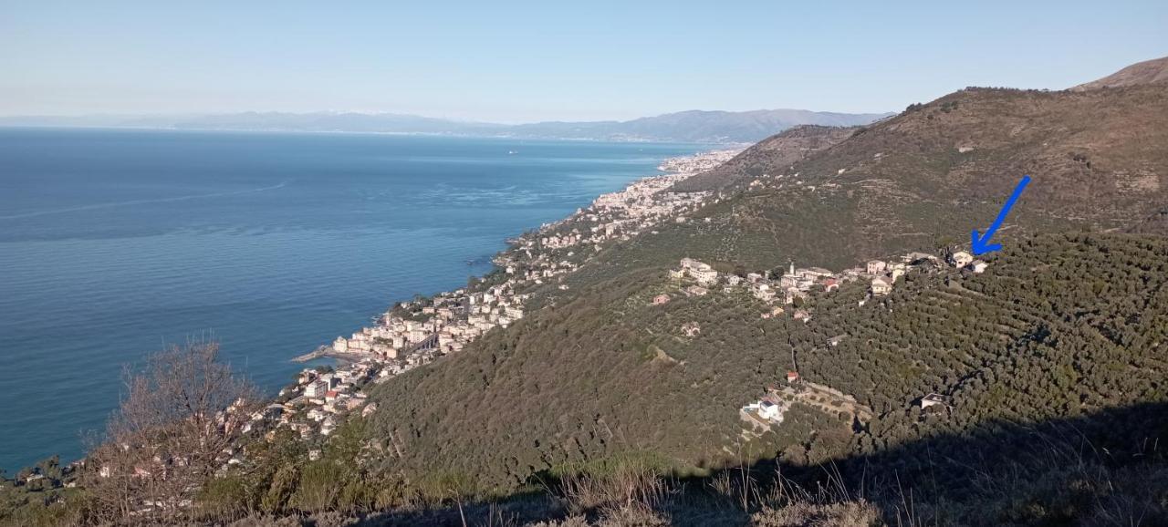In Scia Costa Apartment Bogliasco Bagian luar foto